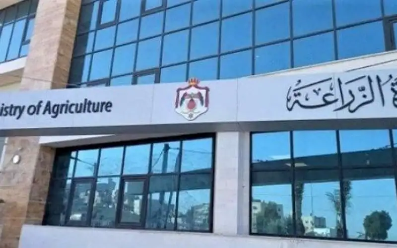 الزراعة تفتح باب استيراد الدواجن وتوقف