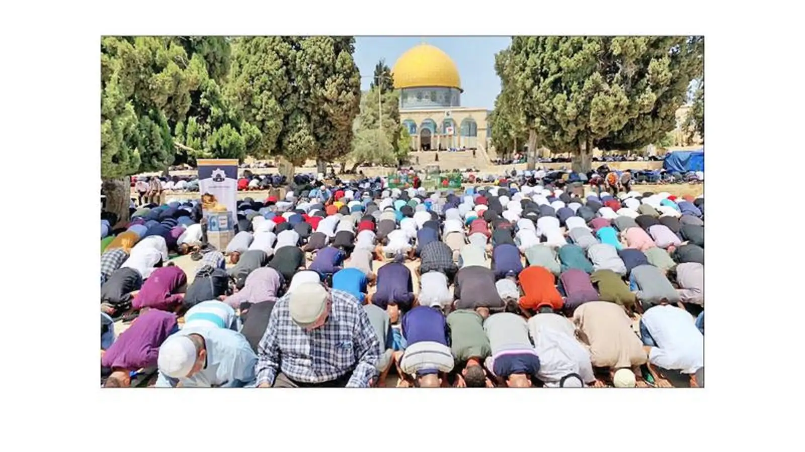 40 ألفا يؤدون صلاتي العشاء والتراويح