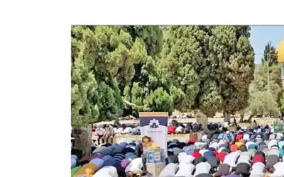 40 ألفا يؤدون صلاتي العشاء والتراويح
