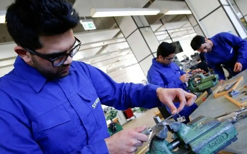 محافظة: 4 تخصصات جديدة ستضاف إلى