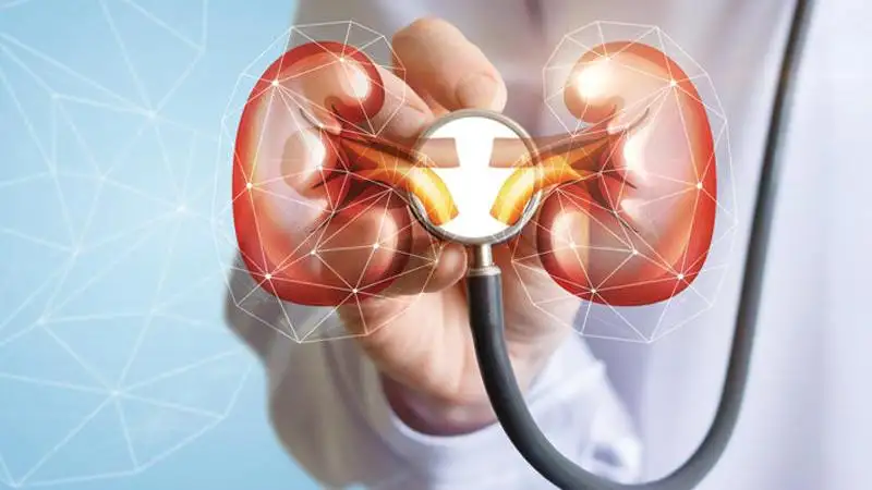 معلومات لا تعرفها عن الفشل الكلوي