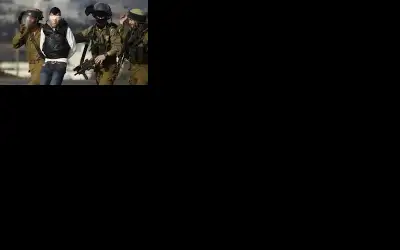 الاحتلال يعتقل 7 فلسطينيين في دورا