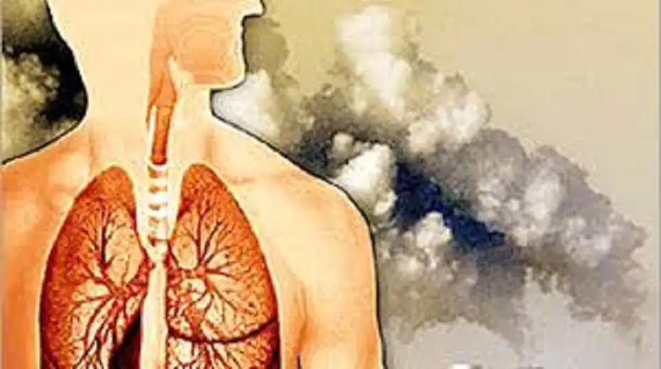 تلوث بيئي خطير في الحسا ..