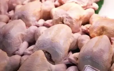 وزير الزراعة يكشف سبب اختفاء الدجاج