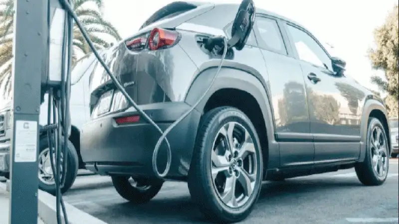 79 % ارتفاع نسبة التخليص على