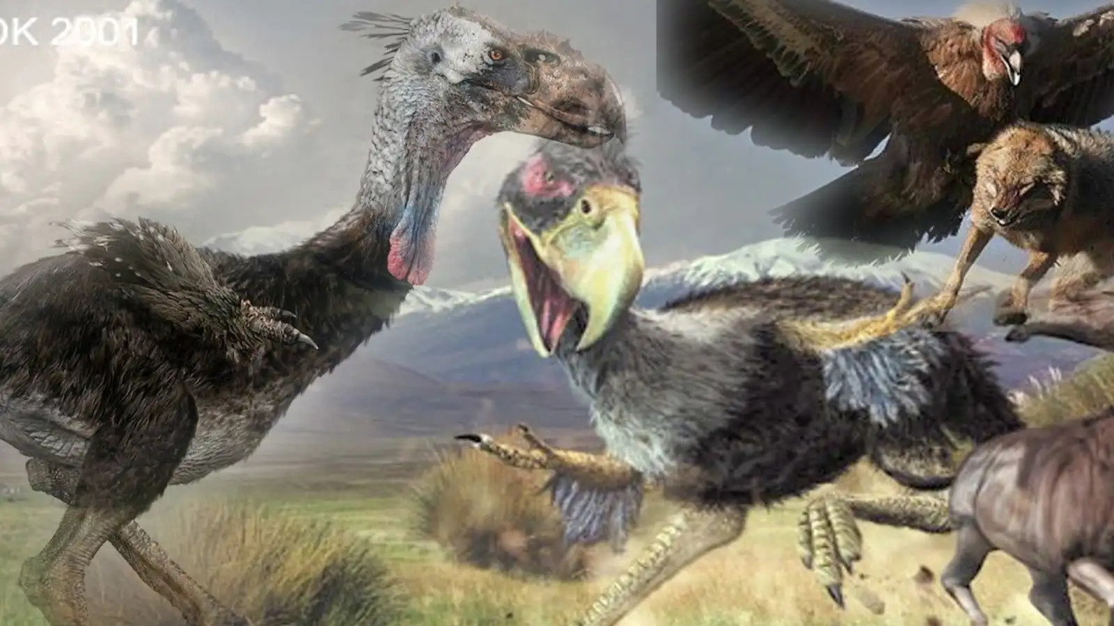 العثور على جمجمة ضخمة لطائر انقرض