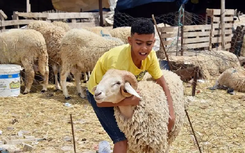 هيئة كبار علماء السعودية تكشف موعد