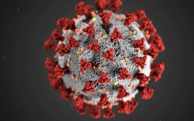 هل كورونا وراء زيادة السرطانات النادرة؟