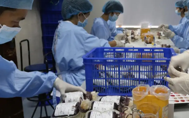 خبراء الصحة يحذرون: المرض X يهدد