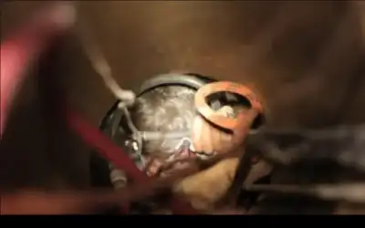 إخراج طفل سوري علق طوال الليل