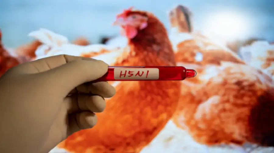 استعدادا لوباء محتمل .. دراسة شاملة