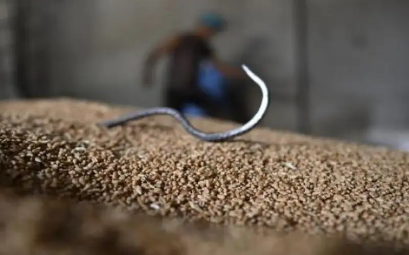 زيادة سعة الصوامع الى 750 ألف