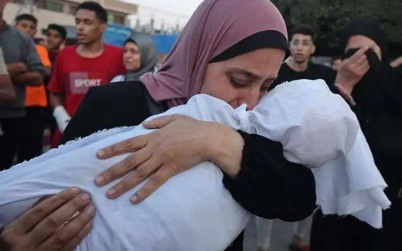 31 شهيدا في قطاع غزة منذ
