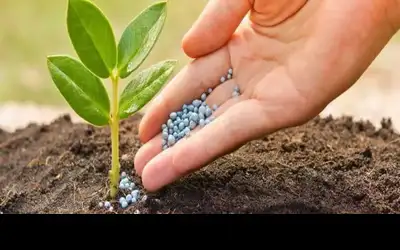 المناصير يعزز إنتاجه من الأسمدة بأربعة