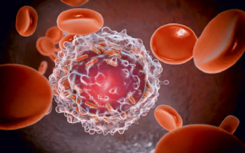 بأدلة علمية .. غذاء فائق يمكن