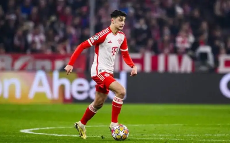 استبعاد بافلوفيتش من قائمة ألمانيا في