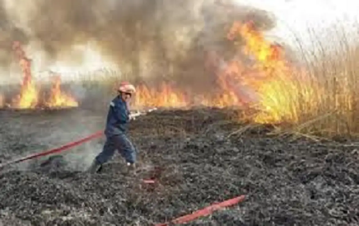 العراق: حرائق في بغداد والمثنى