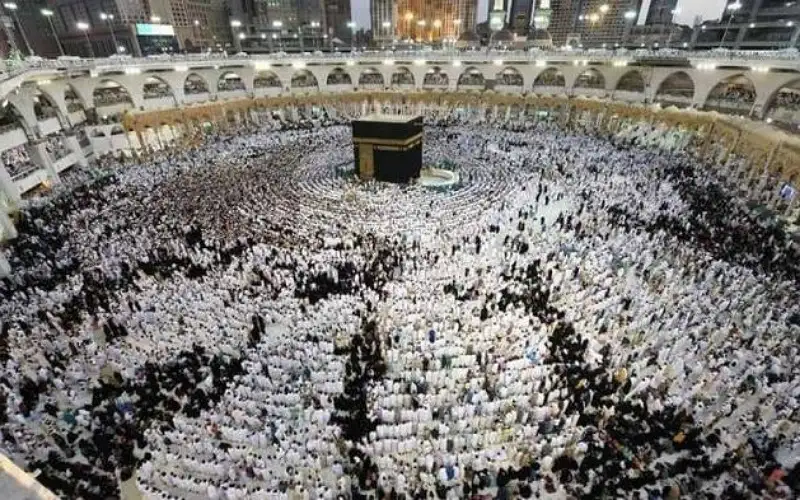 الخارجية: الحجاج المتوفين والمفقودين ليسوا ضمن