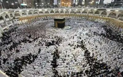 الخارجية: الحجاج المتوفين والمفقودين ليسوا ضمن