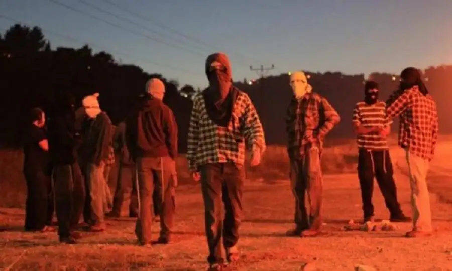 مستعمرون يهاجمون مركبات المواطنين جنوب نابلس