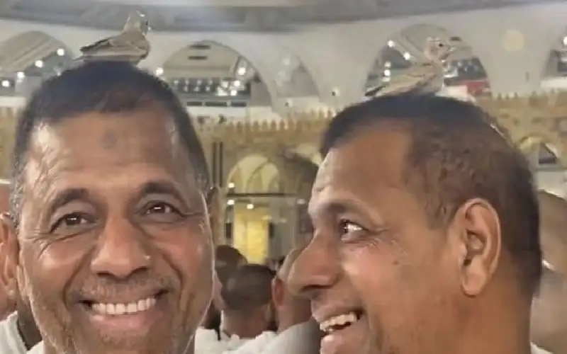 لماذا تقف الطيور فوق رؤوس الحجاج؟