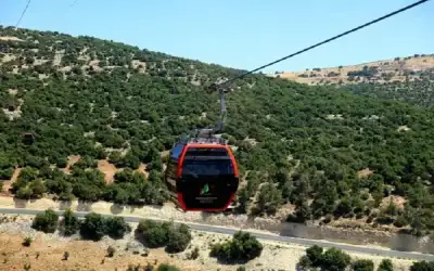 توفير طائرة لتنظيم جولات سياحية في