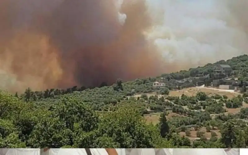 وزير الزراعة: التعرف على هوية منفذي