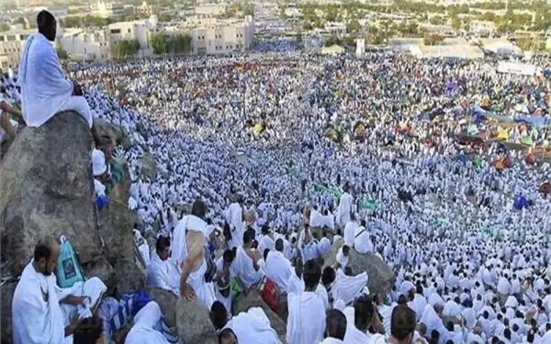الخارجية: العثور على 84 حاجا أردنيا