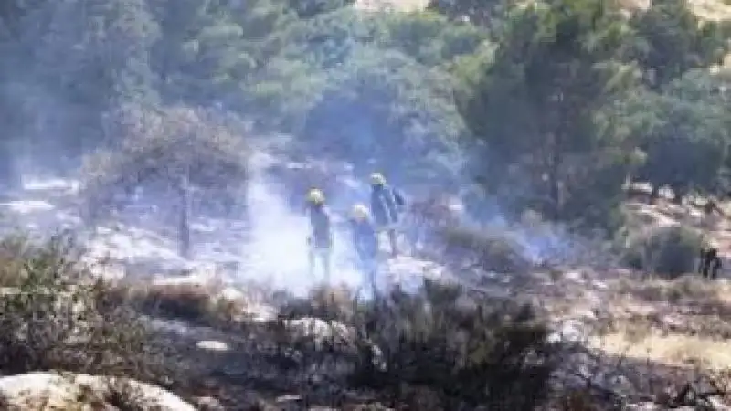 إخماد حريق امتد لنحو 100 دونم