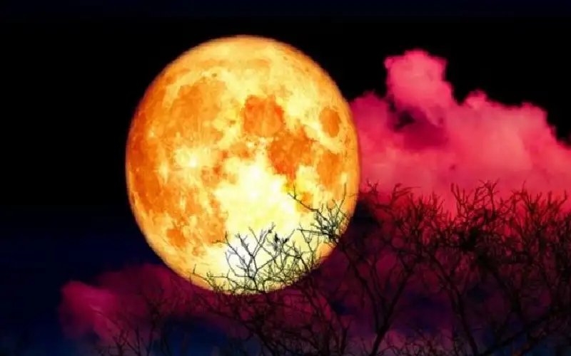 هذا موعد ظهور قمر الفراولة المذهل