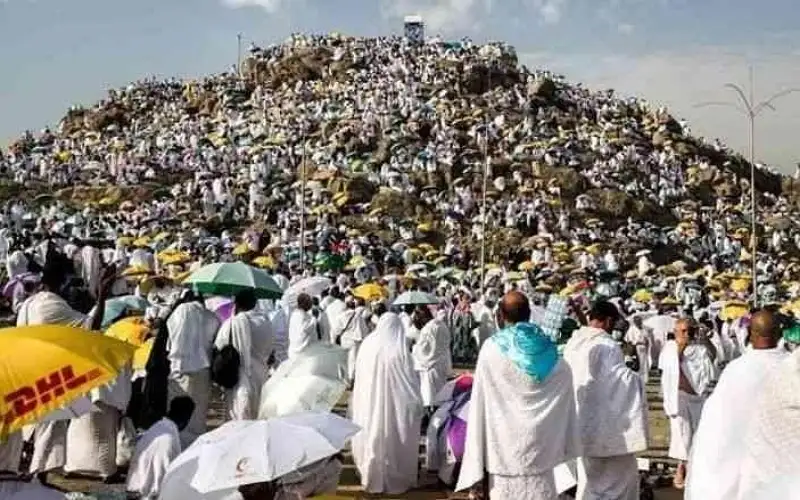 600 وفاة على الأقل بين الحجاج