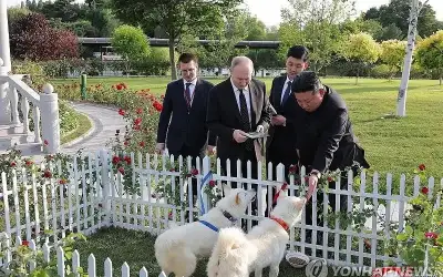 كيم يهدي بوتين زوجا من كلاب