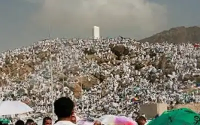 مبيضين: يعلن نتائج تحريات الحكومة حول