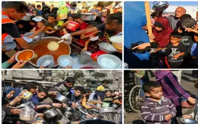 الأمم المتحدة: أسر في غزة تتناول