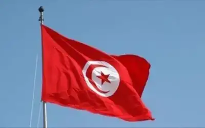 وفاة طيار ونجاة آخر بتحطم طائرة