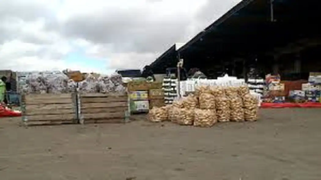 4294 طنا من الخضار والفواكه وردت