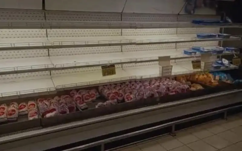 الصناعة والتجارة: توريد 500 ألف طير