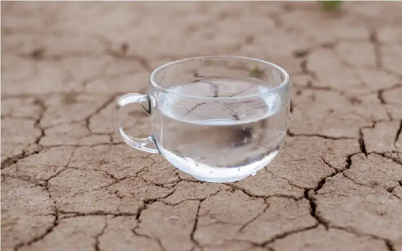 ما تأثير شرب ماء البحر على