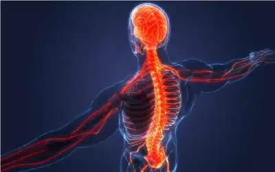 ما هو التهاب النخاع الشوكي المستعرض؟