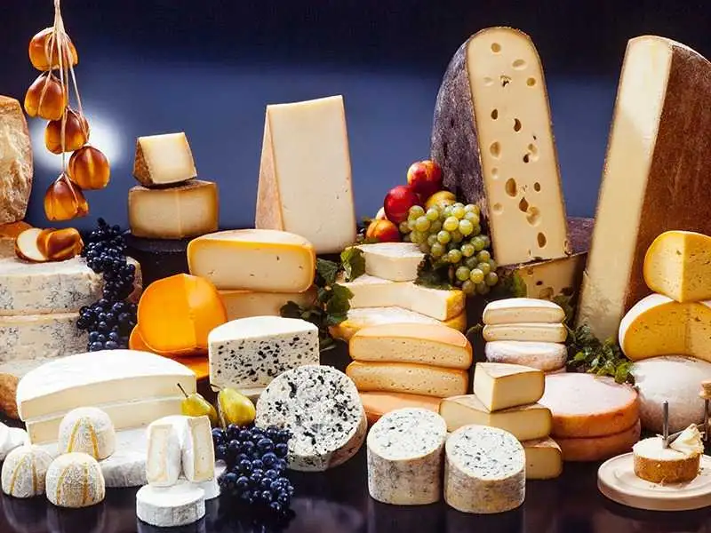 الجبن يجعلنا سعداء ويعزز الشيخوخة الصحية