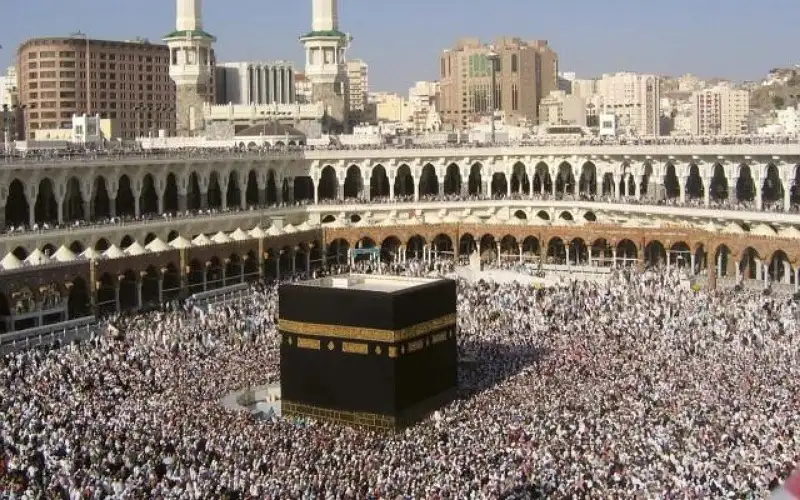 السعودية تكشف عدد الوفيات التي سجلت
