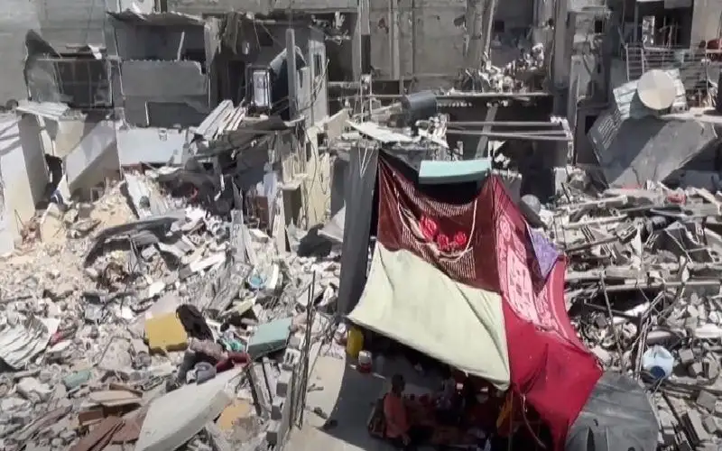 عائلة تتمسك بالحياة في شمال قطاع