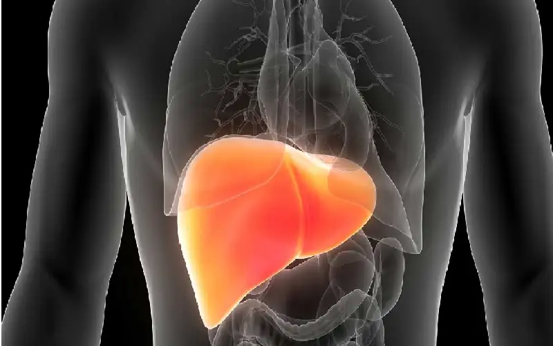 ابتكار طريقة جديدة لعلاج مرض الكبد