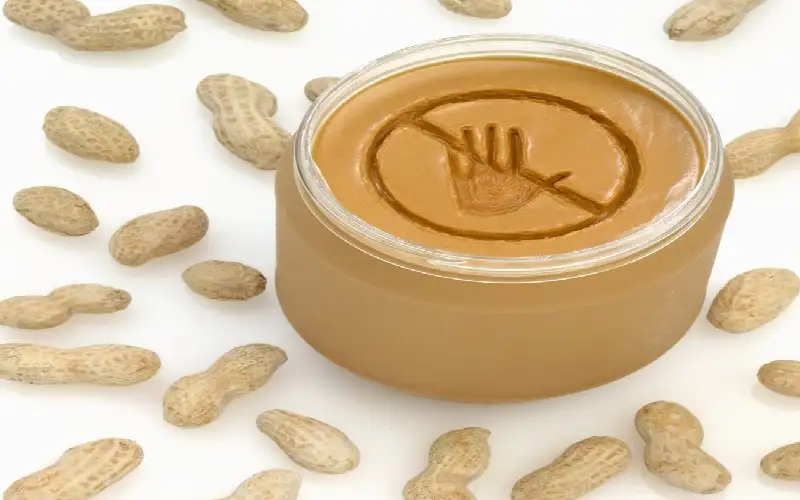 إطعام الطفل أغذية تحتوي على الفول