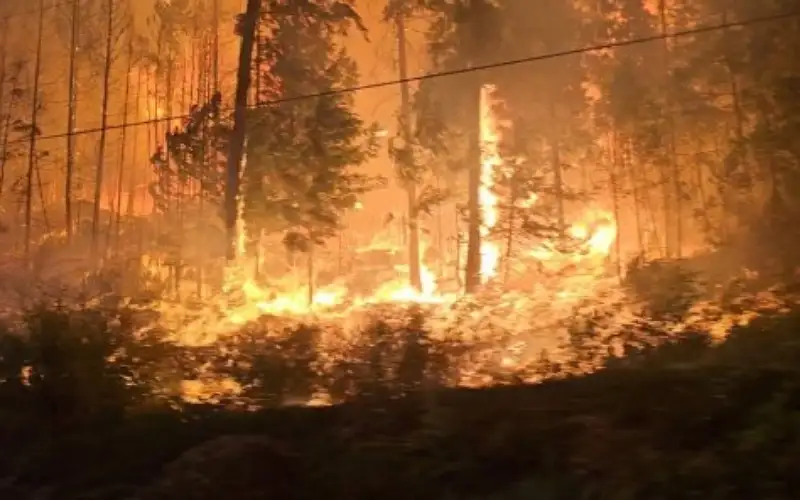 حرائق الغابات القصوى تضاعفت منذ 20