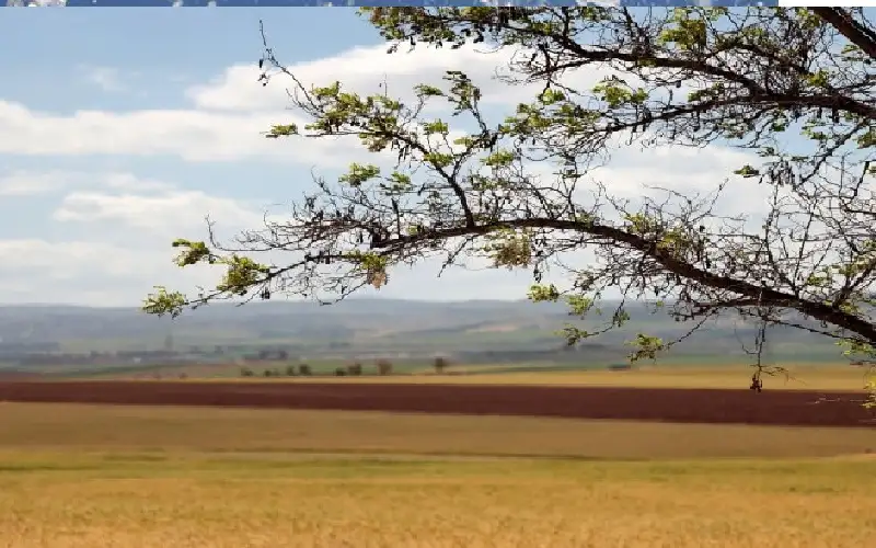 أجواء حارة في عموم المناطق