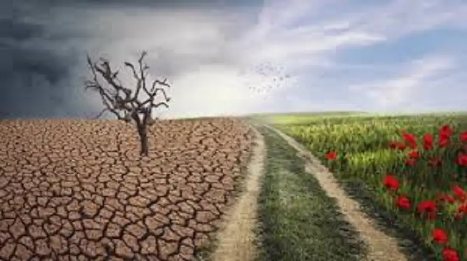 هل ينجح الأردن في التكيف مع