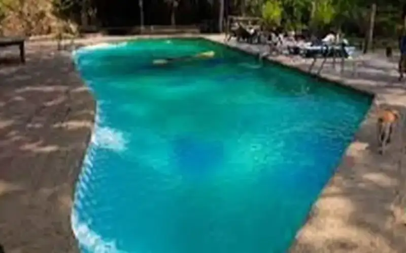 امرأة من تكساس حاولت إغراق طفلة