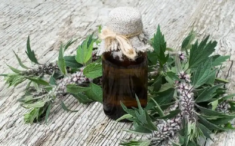 الزيوت المهدئة للأعصاب.. لتقليل التوتر وتعزيز