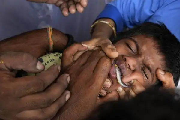 الهنود يعالجون الربو .. بابتلاع سمكة